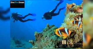 Μαθήματα κατάδυσης σε μαγευτικά νερά