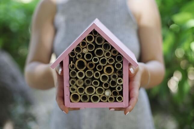 Στην κατασκήνωση της οργάνωσης The Bee Camp τα παιδιά κατασκευάζουν καταφύγια για τις μέλισσες.