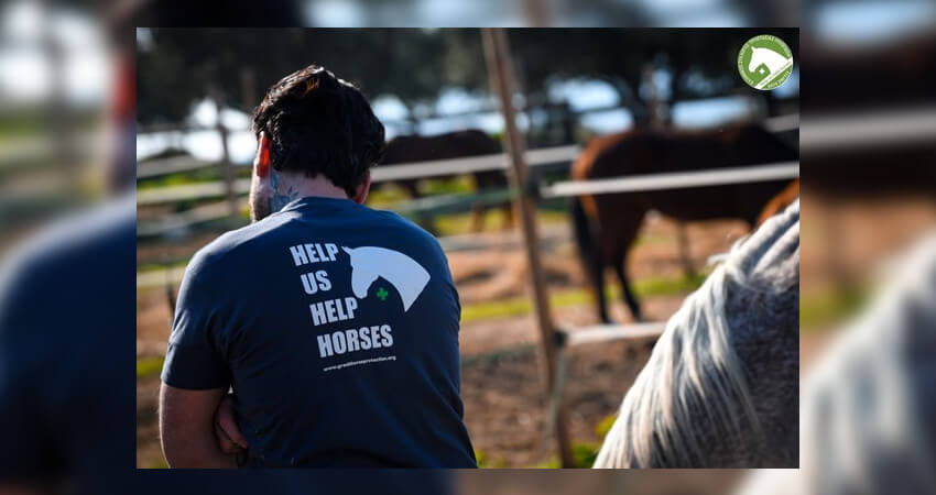 ΕΣΠΙ - Help Us Help Horses