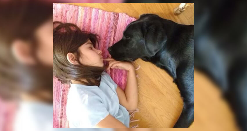 σκύλος βοηθός φροντίζει παιδί με αυτισμό