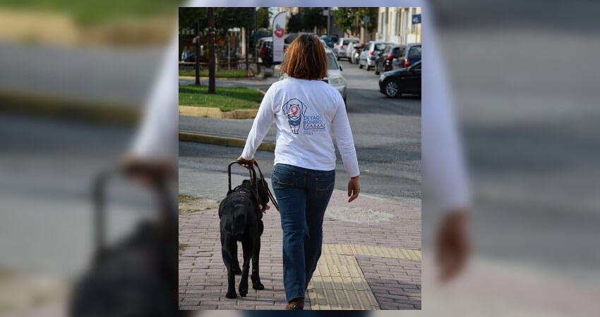 Οι Σκύλοι Βοηθοί Ελλάδας ξεκίνησαν από την αγάπη και την πίστη της ομάδας στη διαφορά που φέρνει ένας σκύλος βοηθός στη ζωή ενός ανθρώπου με αναπηρία.