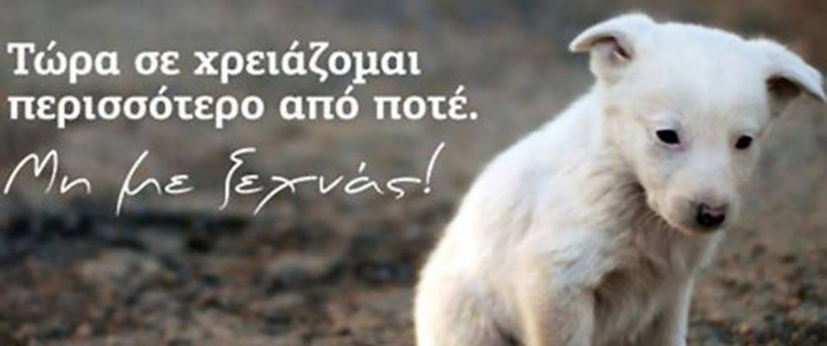 Η εικόνα της ομάδας
