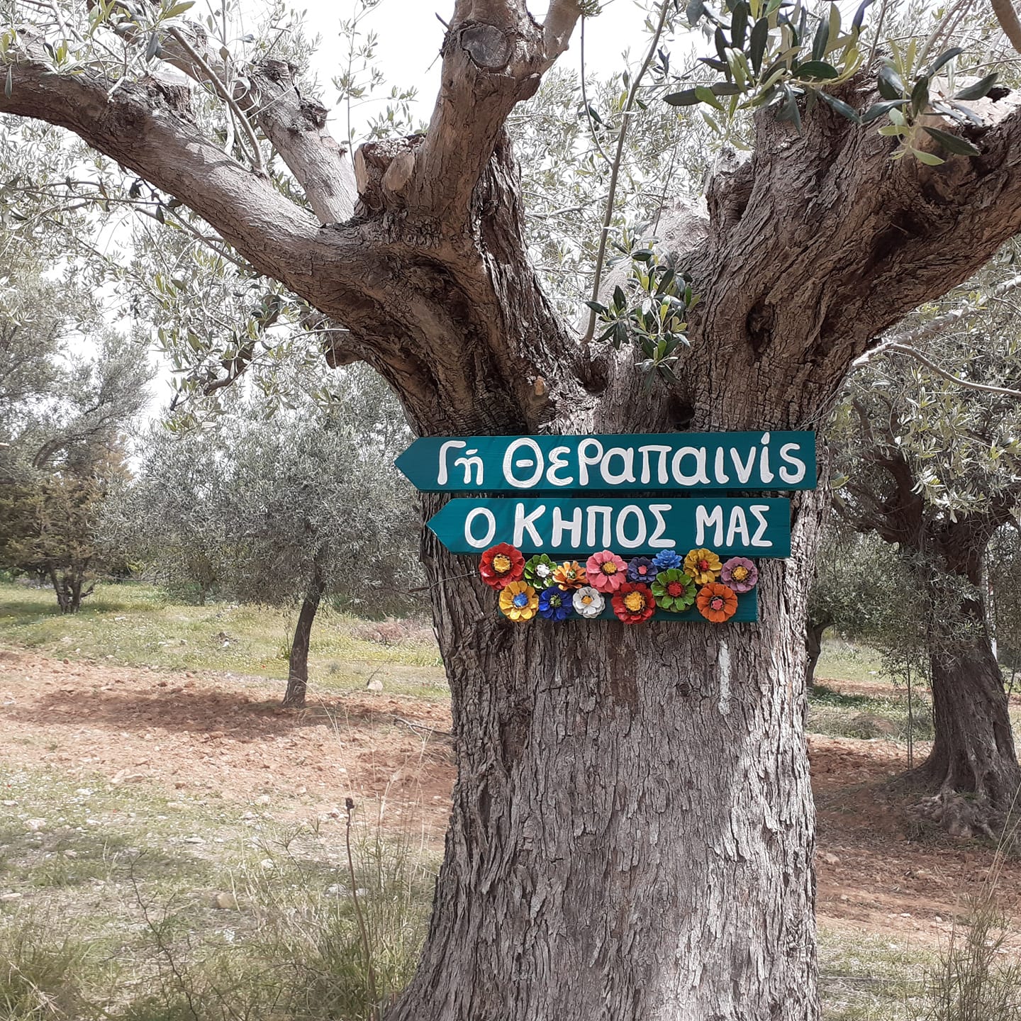 Η εικόνα της ομάδας