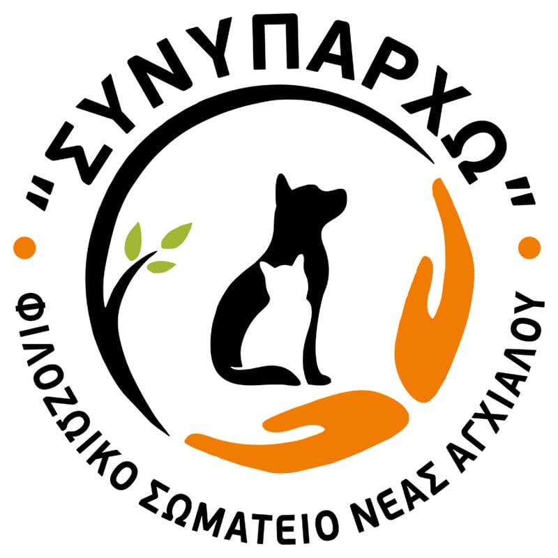 Η εικόνα της ομάδας